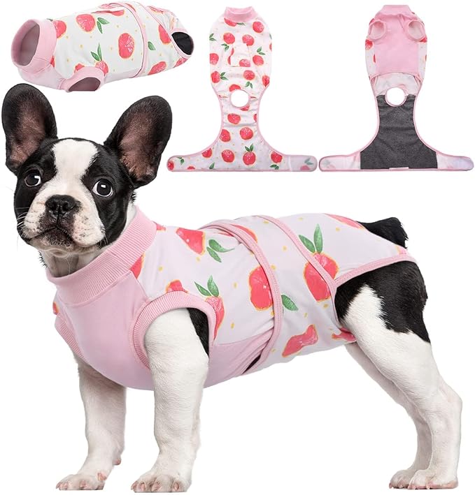 Kuoser Recovery Suit for Dogs Cats After Surgery, Professional Pet Recovery by Kuoser