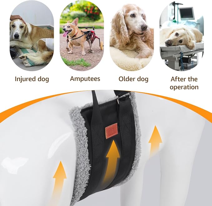 Adjustable Dog Lift Harness, Dog Sling - Image 8