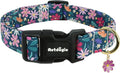 Dog Collar for Small Dogs, Spring Dark Green Dog Collars by Unknown