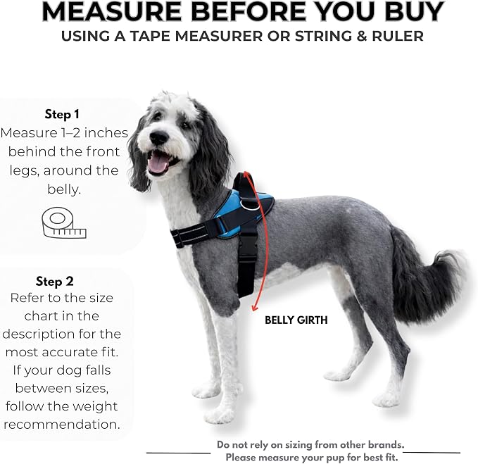 ShawnCo Essential Dog Harness, No-Pull Pet Vest - Image 5