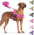 SlowTon No Pull Dog Harness by SlowTon
