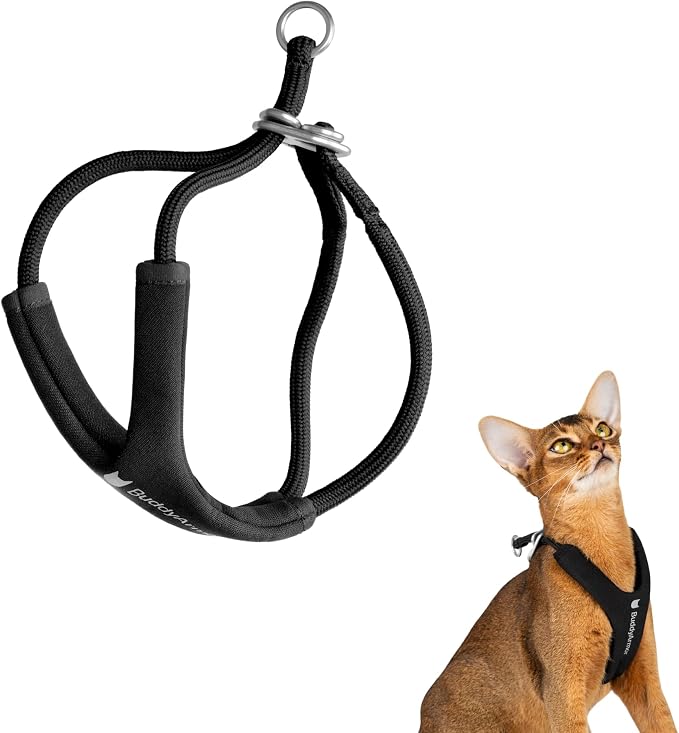 Escape Proof Y Shape Cat Harness Anti-Choke Buckle Adjustable Comfortable by BuddyArmor