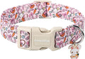 Lionet Paws Cute Pink Rabbit Eggs Dog Collar by lionetpaws