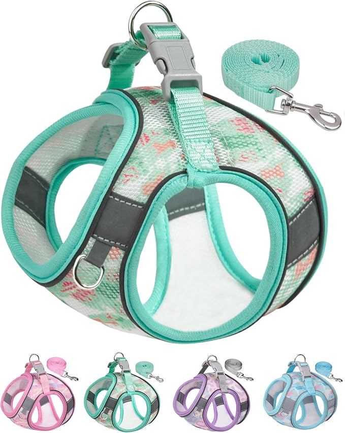 Dog Harness for Small Medium Dogs No Pull, Cat Harness and Leash Set, Step in by Aecllcea