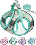 Dog Harness for Small Medium Dogs No Pull, Cat Harness and Leash Set, Step in by Aecllcea