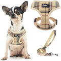 PUPTECK Soft Mesh Dog Harness and Leash Set Pet Puppy Cat Comfort Padded Vest by PUPTECK