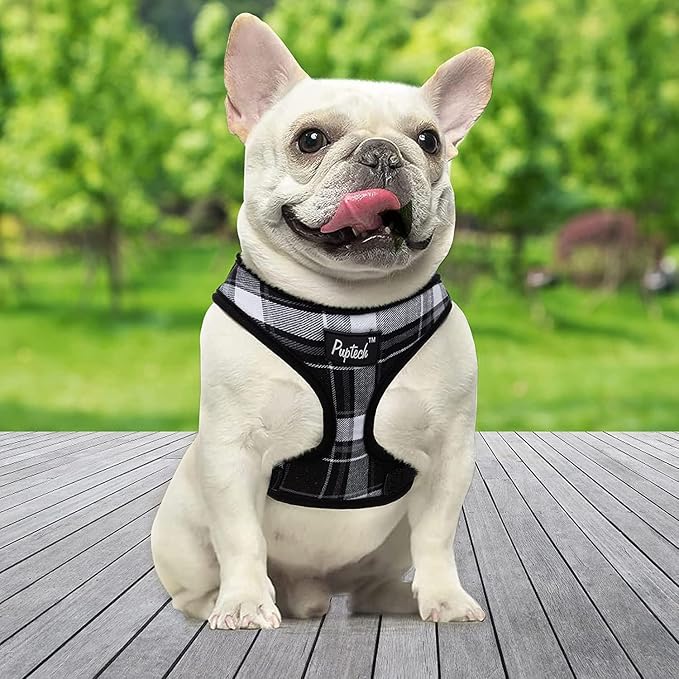 PUPTECK Soft Mesh Dog Harness and Leash Set Pet Puppy Cat Comfort Padded Vest - Image 6