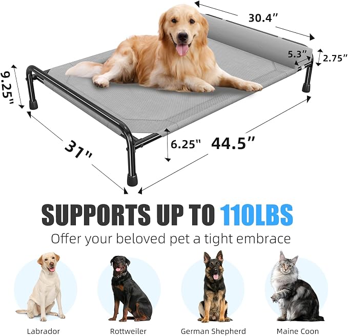 Simple Trending Elevated Dog Bed - Image 6