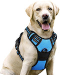 rabbitgoo Dog Harness No Pull by rabbitgoo