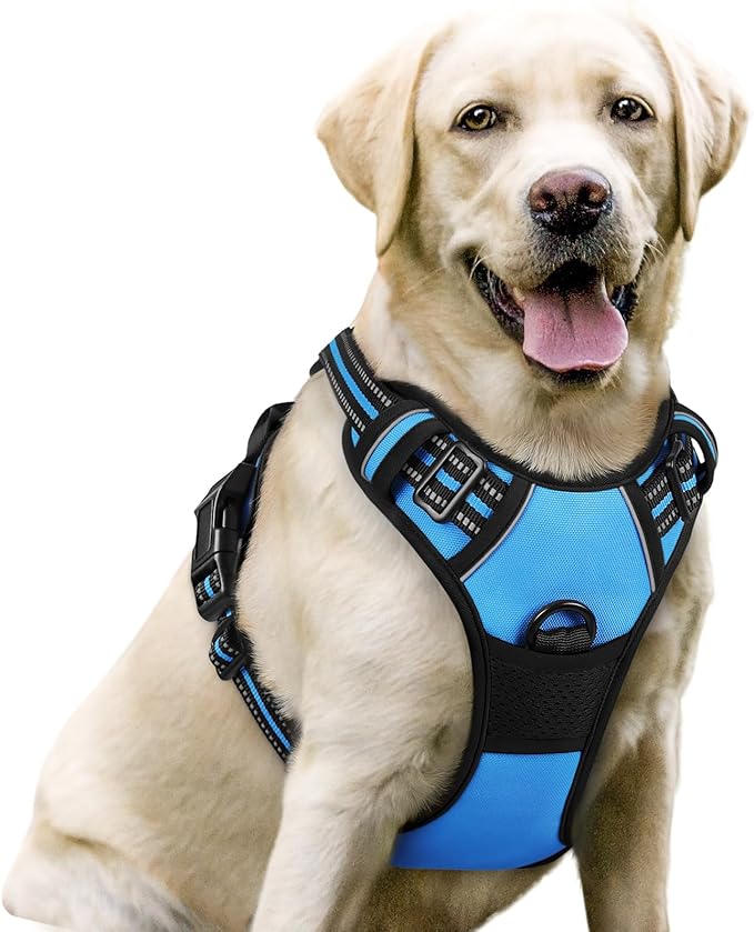 rabbitgoo Dog Harness No Pull by rabbitgoo