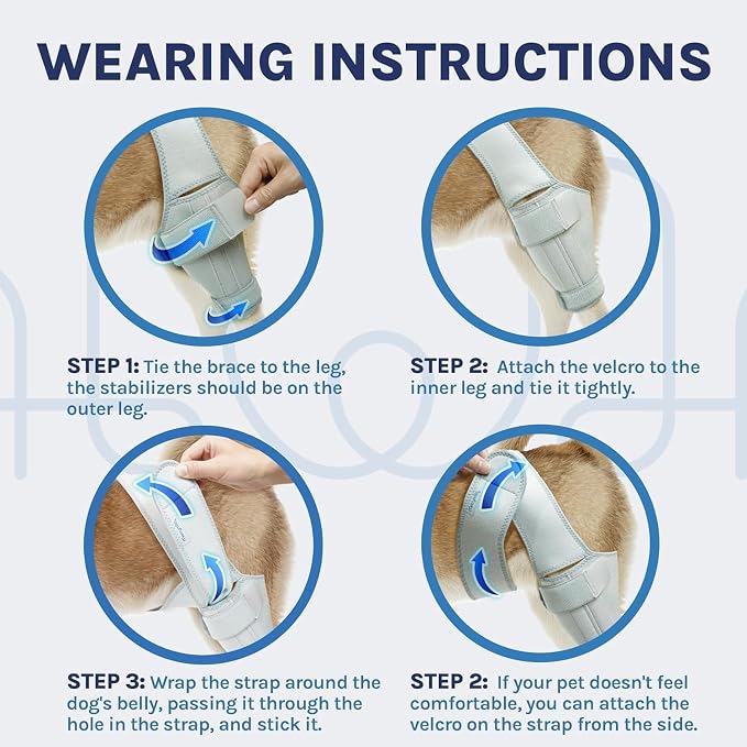 Dog Knee Brace for Torn ACL & Hind Leg Support – Adjustable Dog Hip & Leg Brace - Image 5