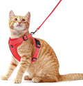 Rttochfy Cat Harness and Leash Set, Adjustable and Reflective Cat Vest by Rttochfy