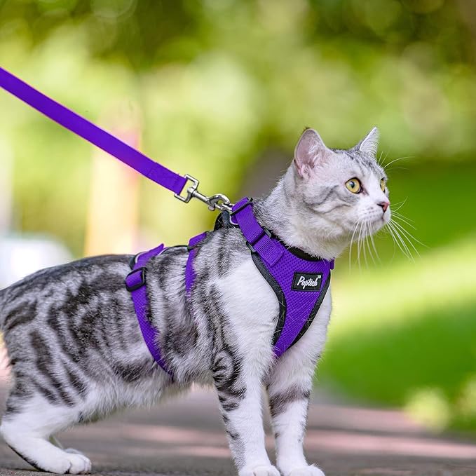PUPTECK Cat Harness and Leash Set Escape Proof - Image 6