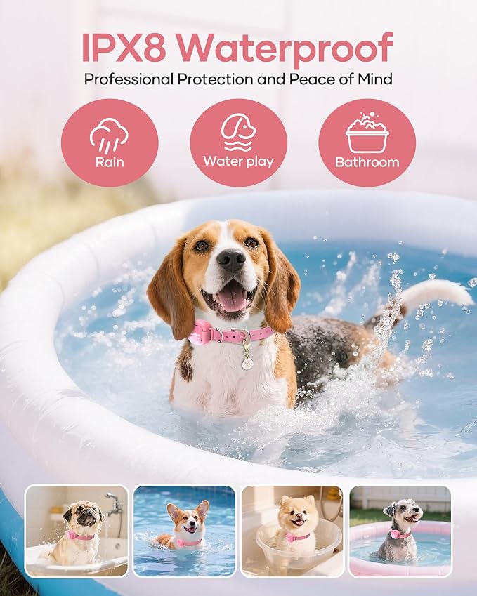 Jugbow 2-in-1 Pet ID Tag & Shock Collar - Image 6