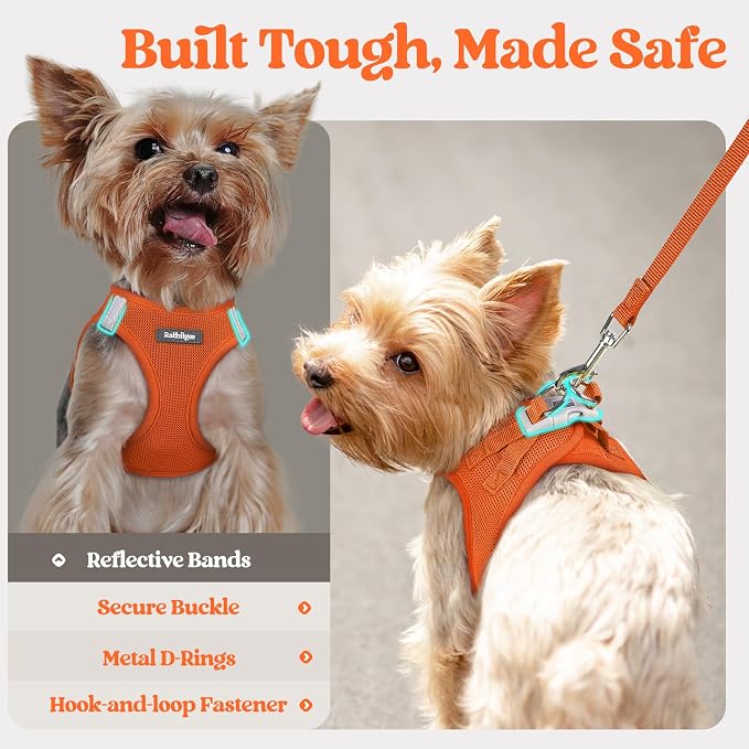 rabbitgoo Dog Harness Medium Sized and Leash Set, Step in Soft Light Puppy Vest - Image 7