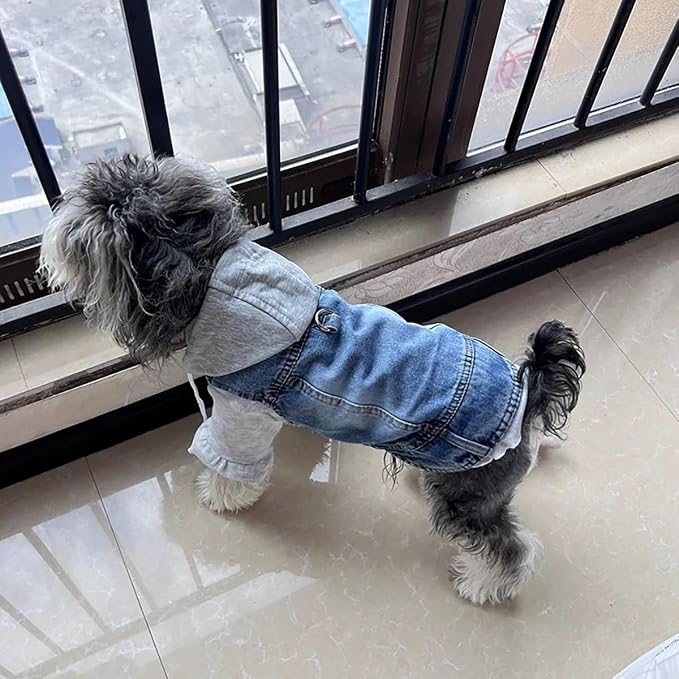 Puppy Harness Jacket for Small Dogs - Image 4