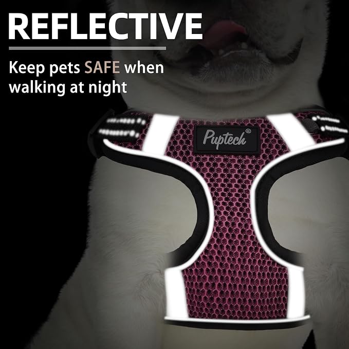 PUPTECK Dog Harness and Leash Set Small Sized, Step in No Pull Adjustable Puppy - Image 4