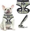 PUPTECK Soft Mesh Dog Harness and Leash Set Pet Puppy Cat Comfort Padded Vest by PUPTECK