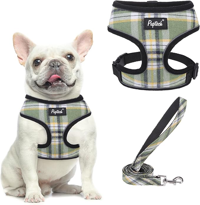 PUPTECK Soft Mesh Dog Harness and Leash Set Pet Puppy Cat Comfort Padded Vest by PUPTECK