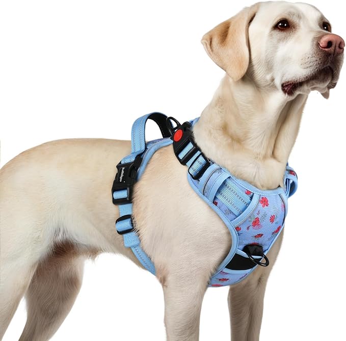 rabbitgoo Dog Harness for Large, No Pull Pet Harness by rabbitgoo