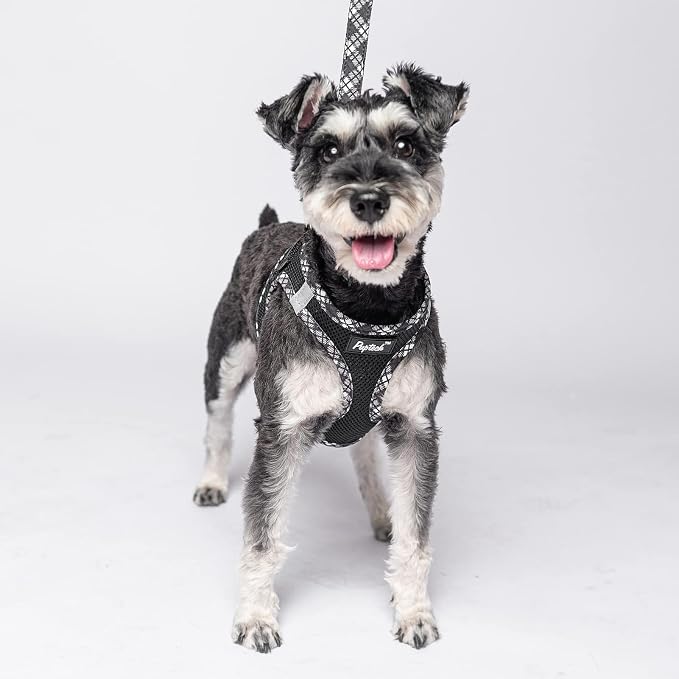 PUPTECK Dog Harness and Leash Set - Image 6