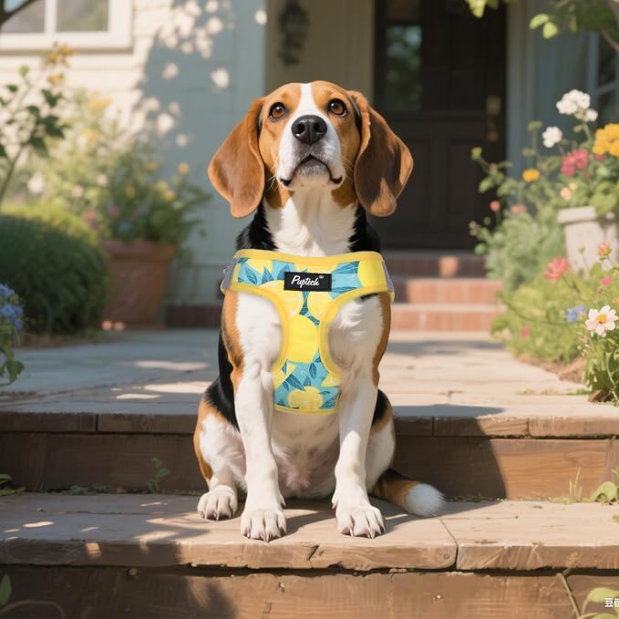 PUPTECK Dog Harness and Leash Set - Image 6
