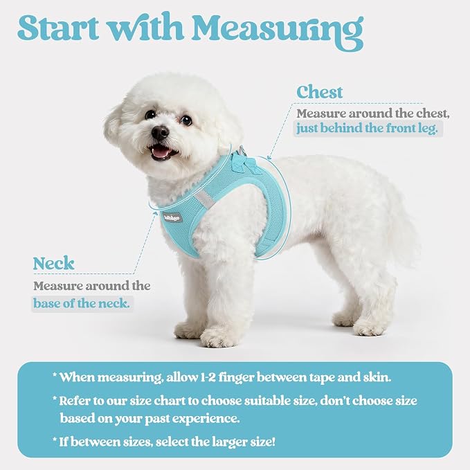 rabbitgoo Dog Harness Small Sized and Leash Set, Step in Soft Light Puppy Vest - Image 2
