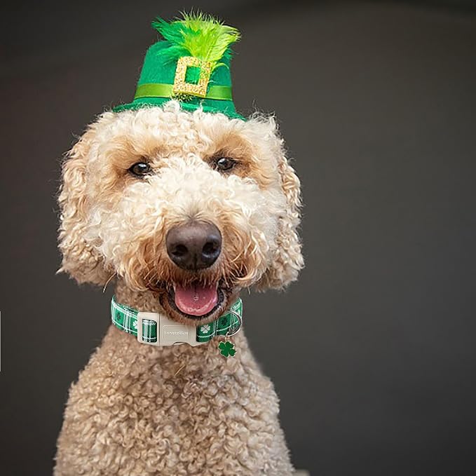 Lionet Paws St. Patrick Dog Collar, Comfortable Adjustable Green Collar - Image 4