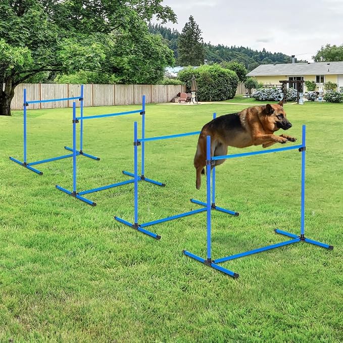 4 Piece Dog Agility Training Equipment by anwickjeff