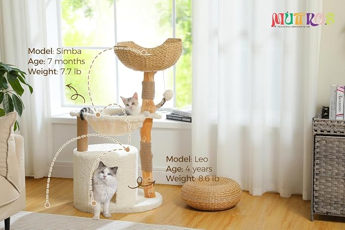 Modern Cat Tree for Large Cats, Wood Cat Tower for Indoor Cats, Real Branch - Image 8
