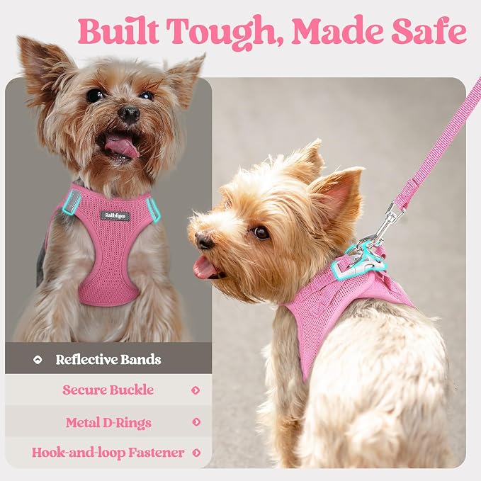 rabbitgoo Dog Harness Medium Sized and Leash Set, Step in Soft Light Puppy Vest - Image 7