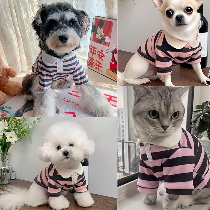 MANON ROSA Dog Clothes, Designer Boy Polo Shirt - Image 2