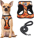 BEAUTYZOO Step in Dog Harness and Leash Set, Floral Pattern Reflective Dog by BEAUTYZOO