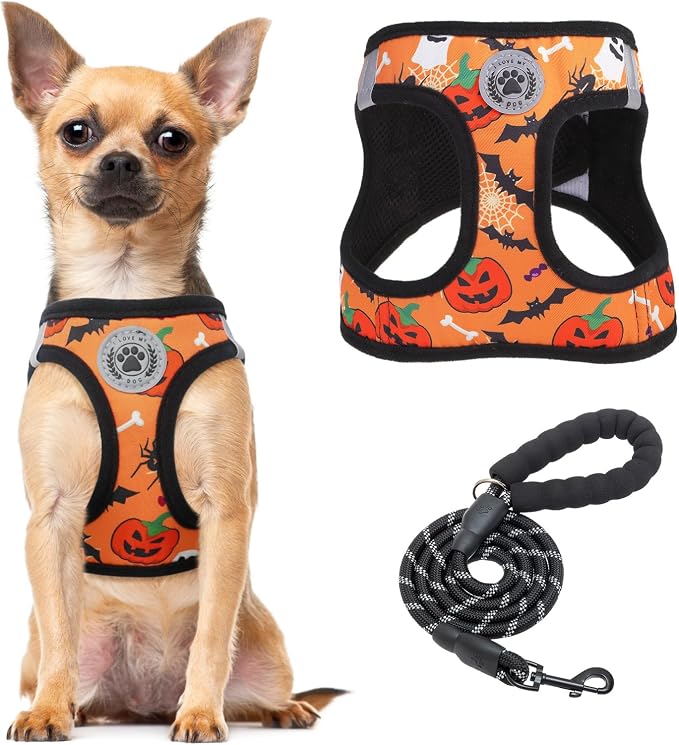 BEAUTYZOO Step in Dog Harness and Leash Set, Floral Pattern Reflective Dog by BEAUTYZOO