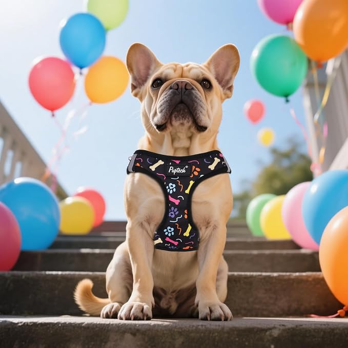 PUPTECK Dog Harness and Leash Set - Image 6