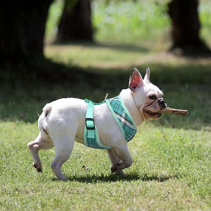 PUPTECK Soft Mesh Dog Harness and Leash Set Pet Puppy Cat Comfort Padded Vest - Image 6