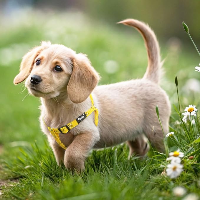 PUPTECK No Pull Dog Harness Soft Adjustable Basic Nylon Step in Puppy Vest - Image 5