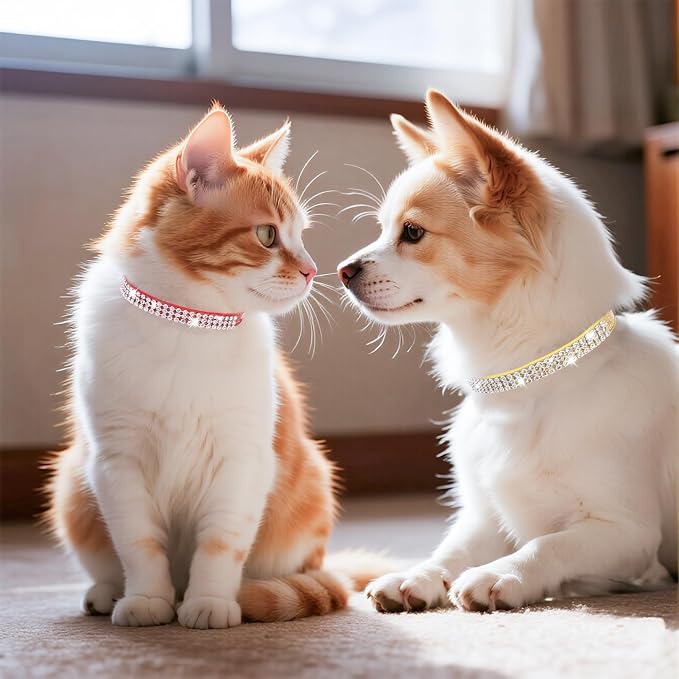 PUPTECK Basic Adjustable Cat Collar - Image 2