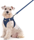 rabbitgoo Dog Harness Small Sized and Leash Set, Step in Soft Light Puppy Vest by rabbitgoo