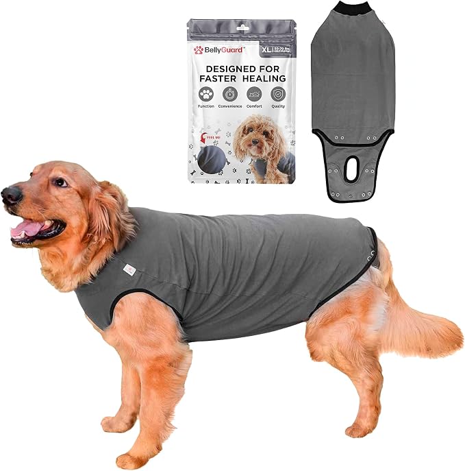 BellyGuard Dog Surgery Recovery Suit, Dog Onesie by BELLYGUARD