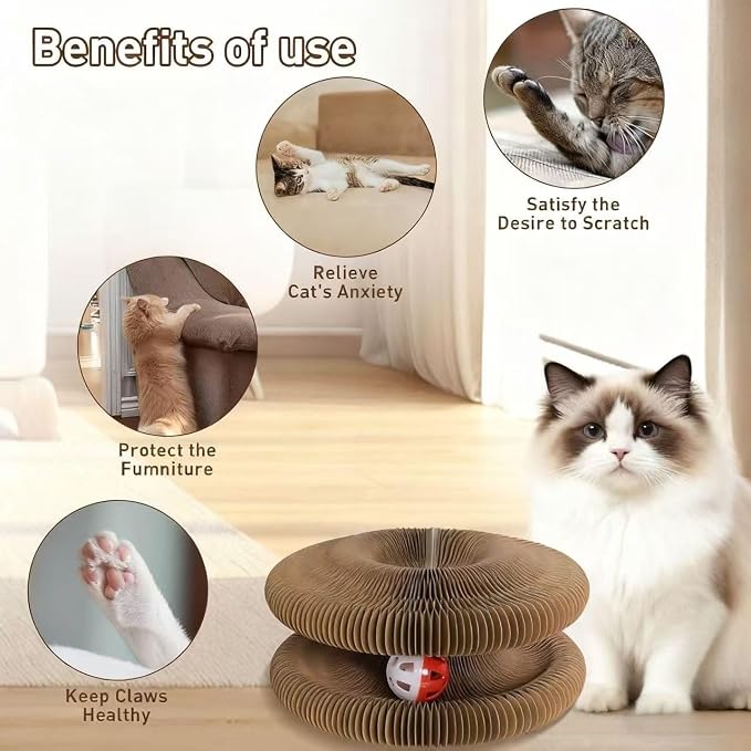 Cat Scratcher Toys for Indoor Cats - Image 3