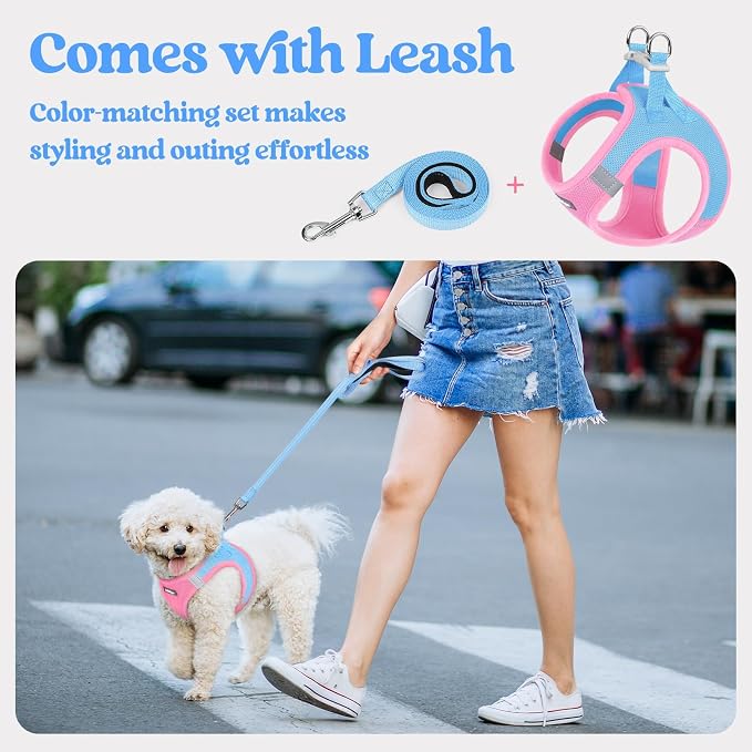 rabbitgoo Dog Harness Small Sized and Leash Set, Step in Soft Light Puppy Vest - Image 5