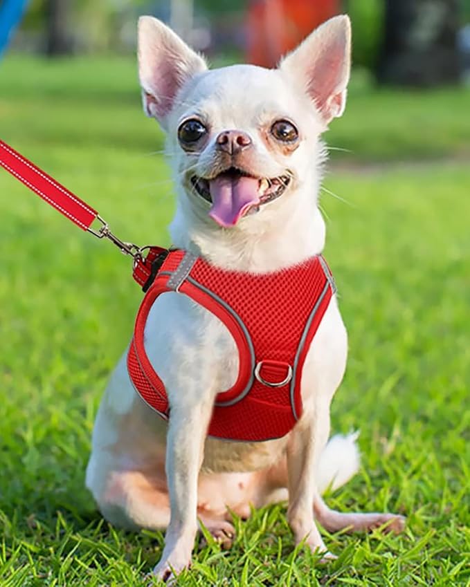 Joytale Small Dog Harness, Breathable Mesh Step-in Vest, Reflective Soft Padded - Image 2