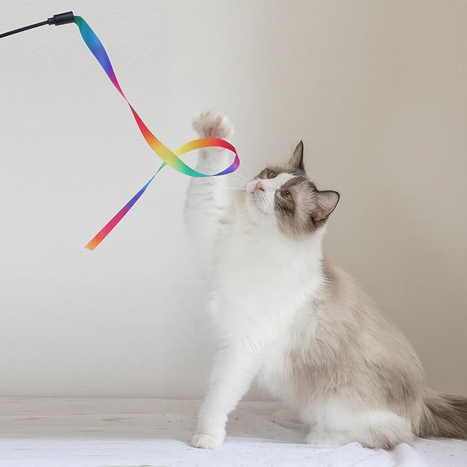 Cat Wand Interactive Toy, 5 Sets Colorful Fabric Ribbon Sticks, Indoor - Image 2