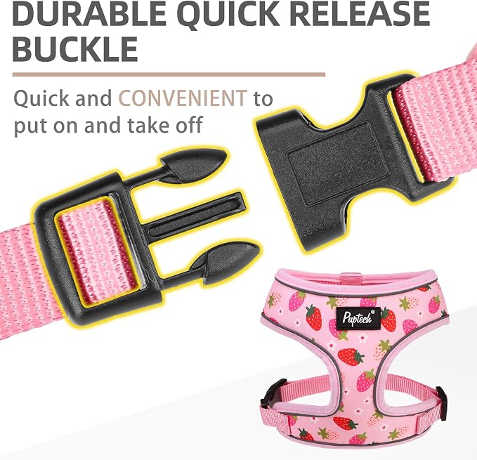 PUPTECK Soft Mesh Dog Harness and Leash Set Pet Puppy Cat Comfort Padded Vest - Image 4
