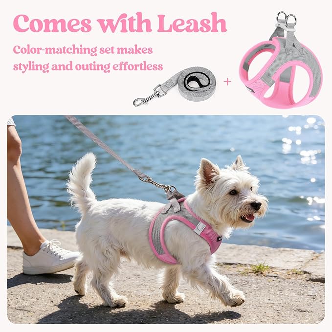 rabbitgoo Dog Harness Small Sized and Leash Set, Step in Soft Light Puppy Vest - Image 5