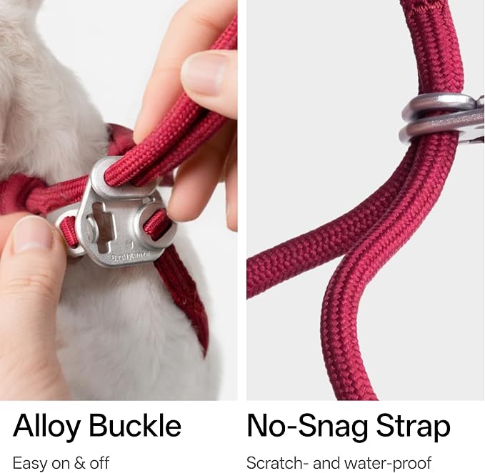 Escape Proof Y Shape Cat Harness Anti-Choke Buckle Adjustable Comfortable - Image 5