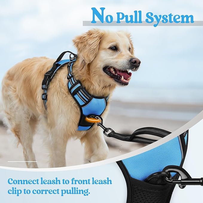 rabbitgoo Dog Harness No Pull - Image 5