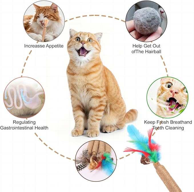 Cat Toys Cat Chew Toys, Kitten Dental Care, Kitty Toys - Image 4