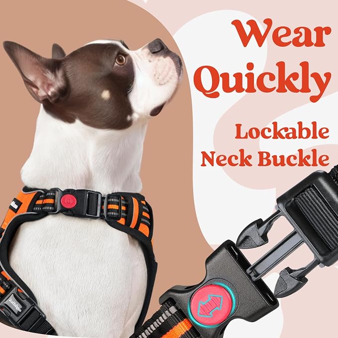 rabbitgoo Dog Harness Small Sized, No Pull Pet Harness - Image 3